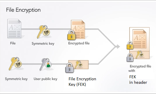 windows file encryption